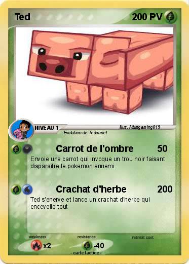 Pokemon Ted