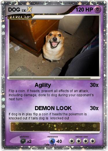 Pokemon DOG