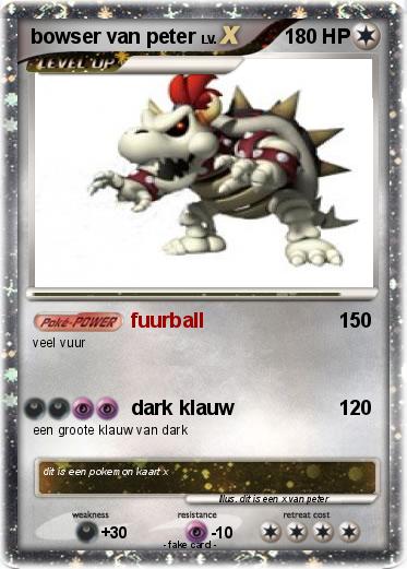 Pokemon bowser van peter