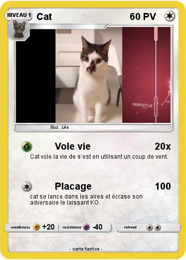 Pokemon Cat