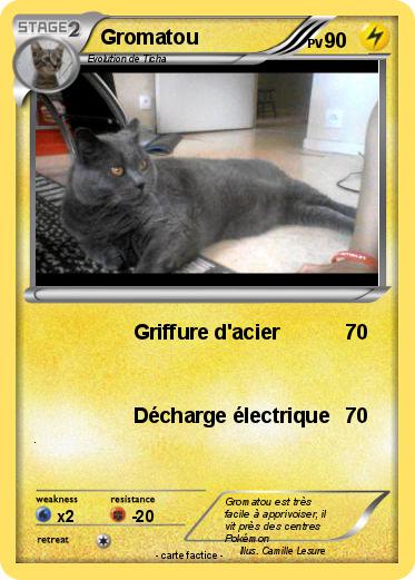 Pokemon Gromatou