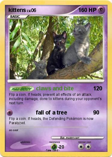 Pokemon kittens