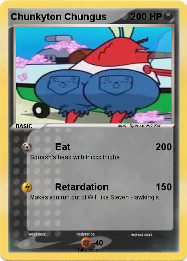 Pokemon Chunkyton Chungus