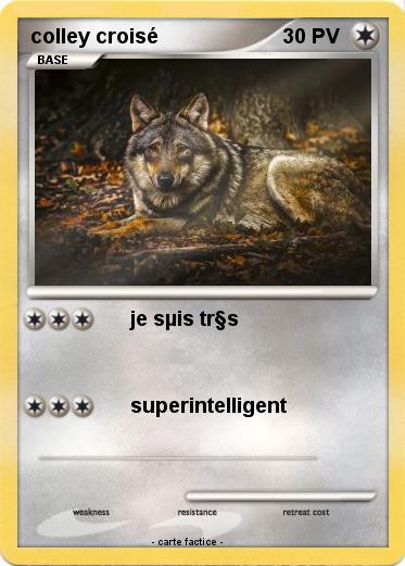 Pokemon colley croisé