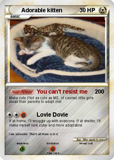 Pokemon Adorable kitten