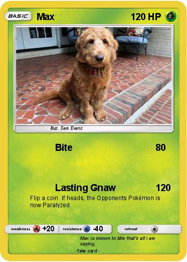 Pokemon Max