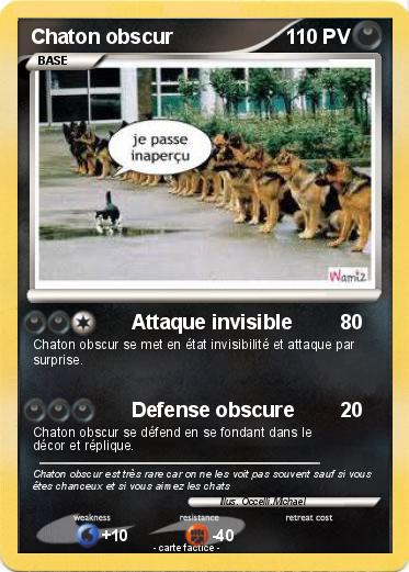 Pokemon Chaton obscur