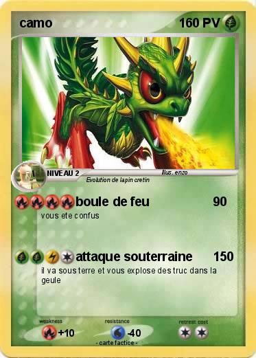 Pokemon camo