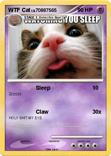 Pokemon WTF Cat