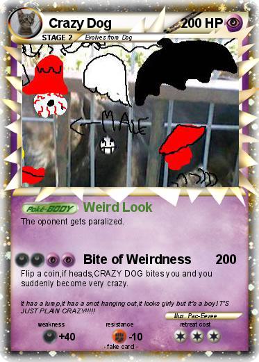 Pokemon Crazy Dog