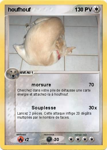 Pokemon houfhouf