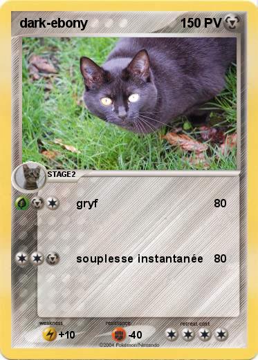 Pokemon dark-ebony