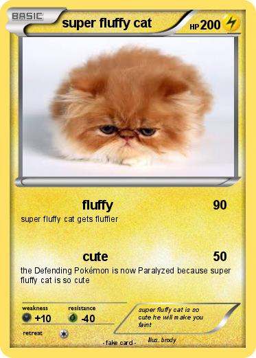 Pokemon super fluffy cat