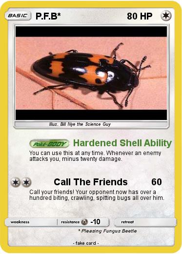 Pokemon P.F.B*