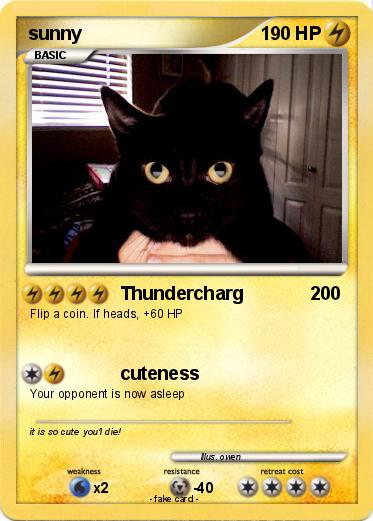 Pokemon sunny