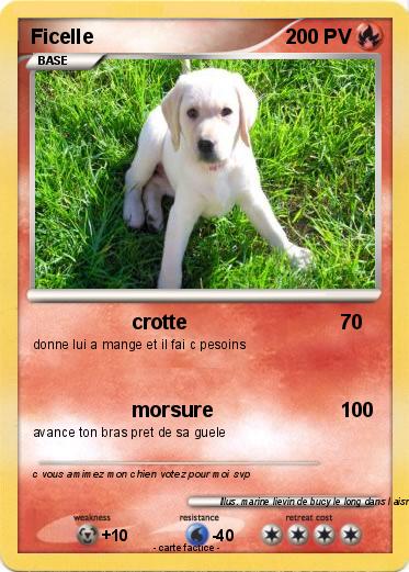 Pokemon Ficelle