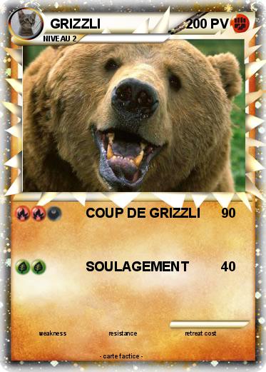Pokemon GRIZZLI