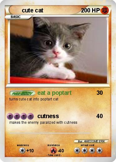 Pokemon cute cat
