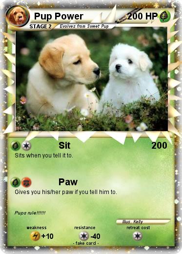 Pokemon Pup Power