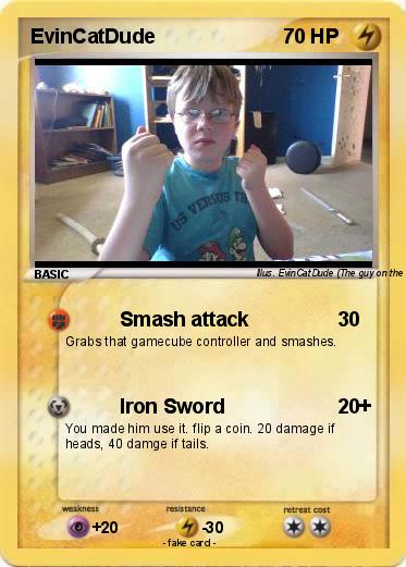 Pokemon EvinCatDude