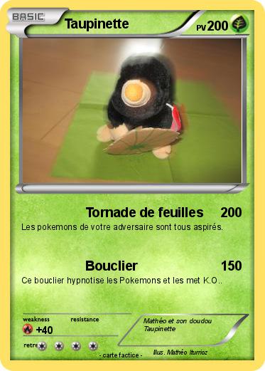 Pokemon Taupinette
