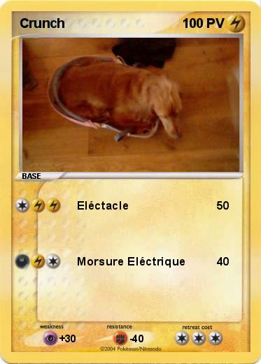 Pokemon Crunch
