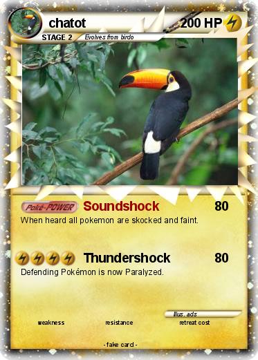 Pokemon chatot