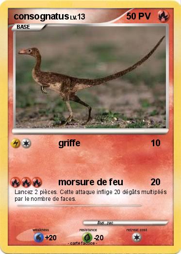 Pokemon consognatus