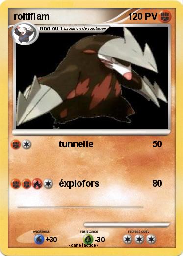 Pokemon roitiflam