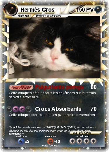 Pokemon Hermès Gros