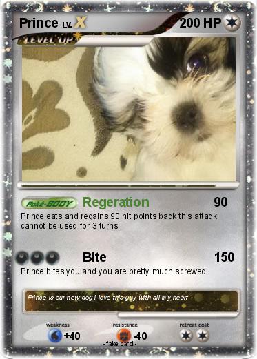 Pokemon Prince
