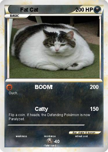 Pokemon Fat Cat