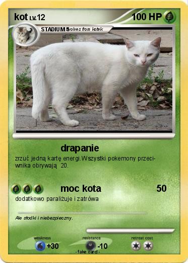 Pokemon kot