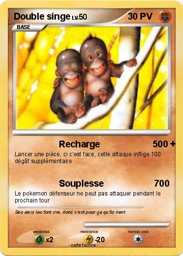 Pokemon Double singe