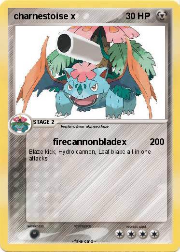 Pokemon charnestoise x