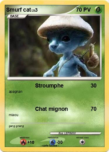 Pokemon Smurf cat