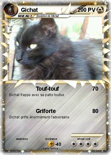 Pokemon Gichat
