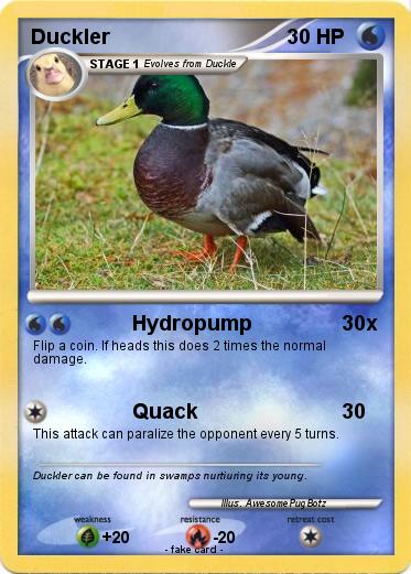 Pokemon Duckler