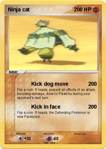 Pokemon Ninja cat