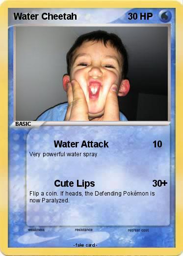 Pokemon Water Cheetah