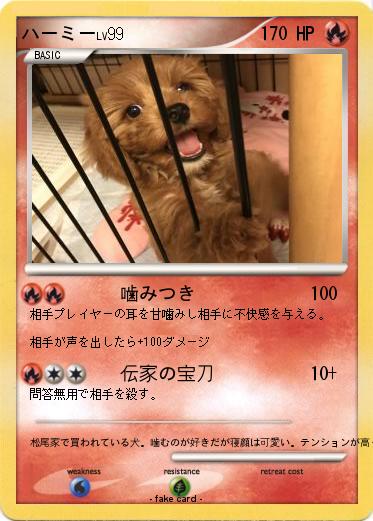 Pokemon ハーミー