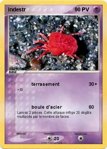 Pokemon indestr