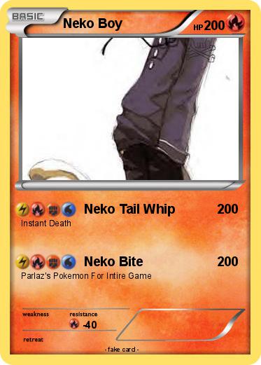 Pokemon Neko Boy