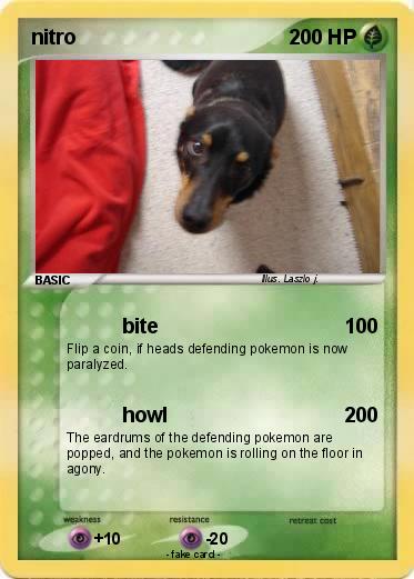 Pokemon nitro