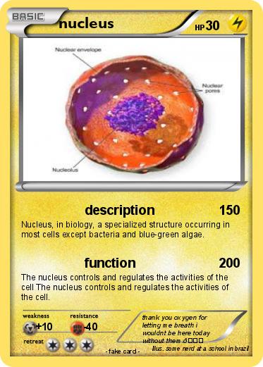 Pokemon nucleus