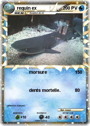 Pokemon requin ex