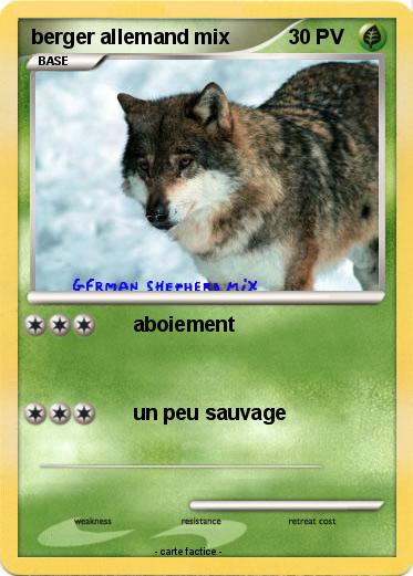 Pokemon berger allemand mix