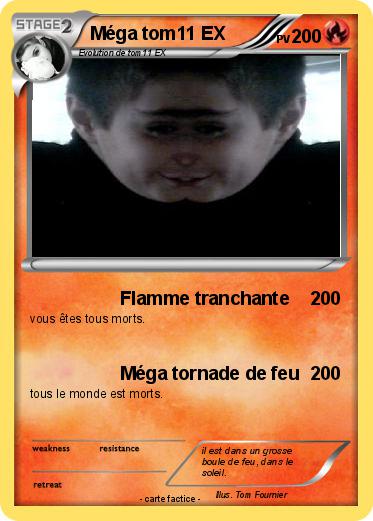 Pokemon Méga tom11 EX