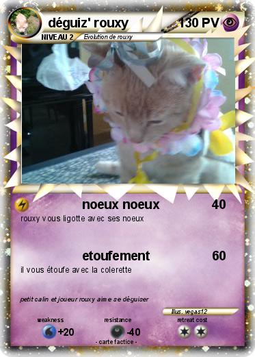 Pokemon déguiz' rouxy