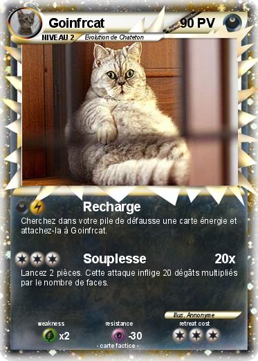 Pokemon Goinfrcat